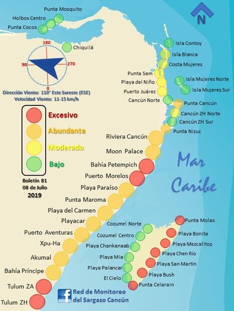 13 cosas que sabemos del sargazo en las playas de Quintana Roo