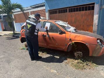 Retiran de calles del puerto de Veracruz más de 150 "autos macetas"; buscan promover el libre tránsito