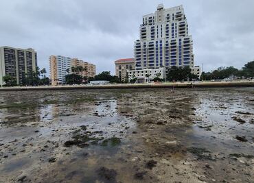 Así retrocede el agua de la bahía de Tampa tras paso del huracán "Ian" (fotos y videos)