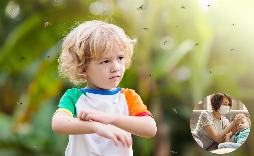 ¿Cómo detectar la fiebre de este virus?
Foto: El Universal