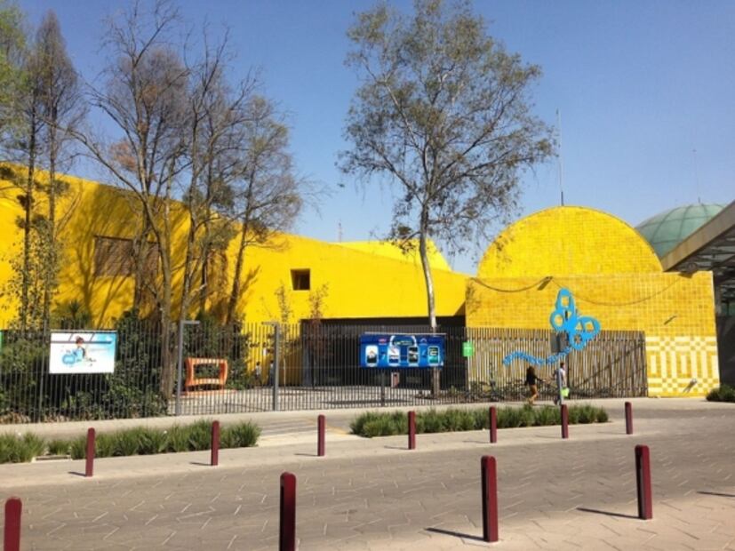 Museos ofrecen actividades en línea para niños este verano