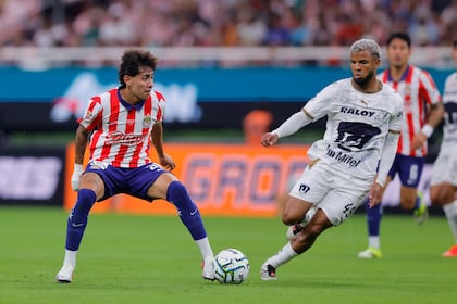 ¿El ecuatoriano Pedro Vite ignoró el Himno de México? ¿Habrá sanción para el jugador de Pumas? VIDEO
