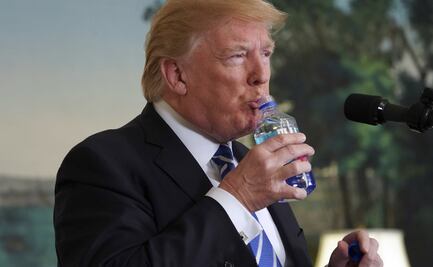 ¿Cómo saciamos la sed? La respuesta está en nuestro cerebro