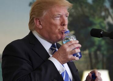 ¿Cómo saciamos la sed? La respuesta está en nuestro cerebro