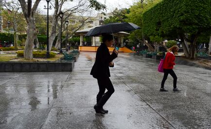 Fuertes lluvias causan caída de árboles en Acapulco