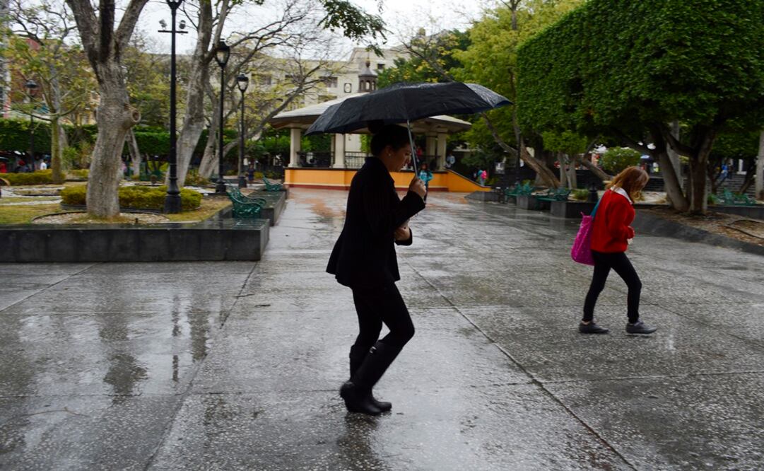 Foto: Archivo/Cuartoscuro    