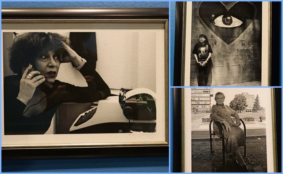 La muestra se exhibe en el Antiguo Colegio de San Ildefonso y la conforman retratos hechos entre la década de los 90 y 2024. En su mayoría son fotos de escritoras capturadas en su hogar o lugar de trabajo. Fotos: Gabriel Pano | El Universal (14/01/2025)
