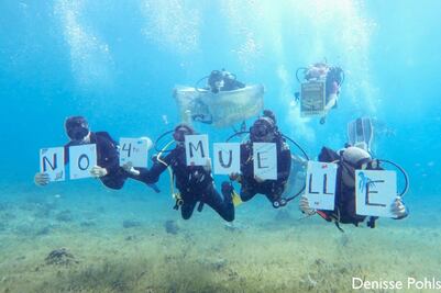 Cozumel, tesoro del mundo, en riesgo