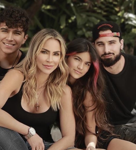La actriz y conductora cubana Aylín Mújica tiene tres hijos: Mauro, Alejandro y Violeta. Nacidos de tres matrimonios distintos.