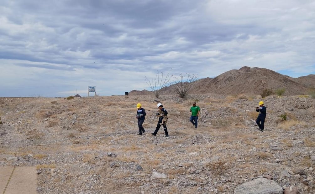 Marina y Profepa rescatan a coyote en Baja California (12/06/2026). Foto: Especial