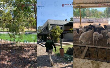 Fiscalía de la CDMX catea rancho de extitular de Seduvi; tenía gansos y pavorreales