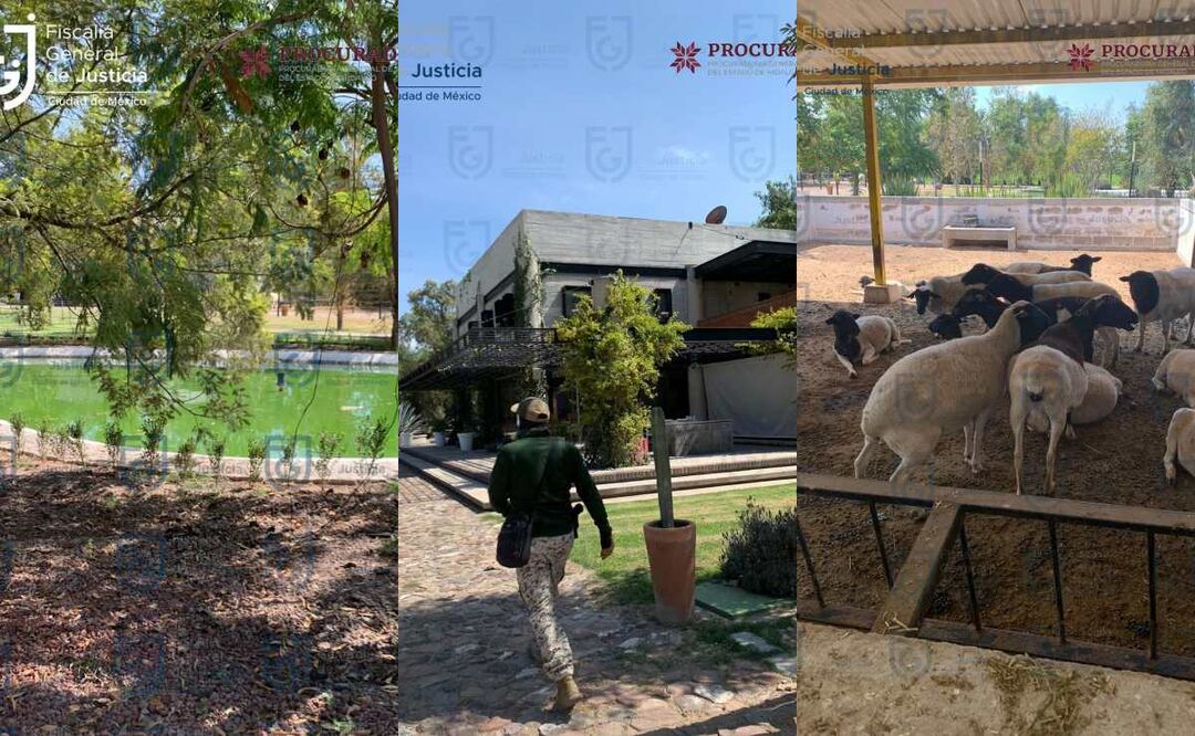 Catea FGJ-CDMX rancho millonario a extitular de SEDUVI. Foto: Especial