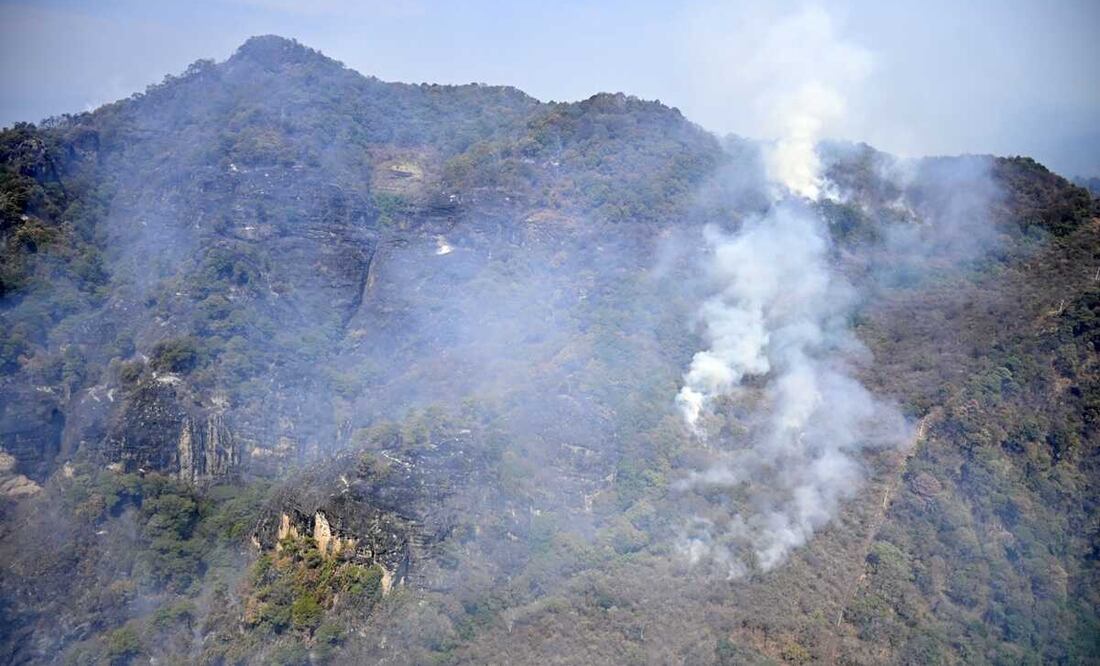 Foto: Archivo El Universal