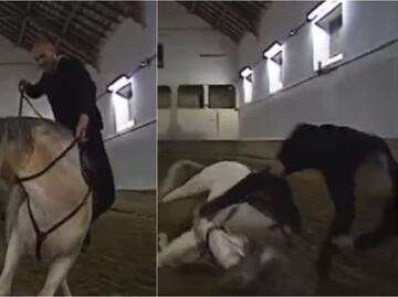 VIDEO: Zinedine Zidane sufre caída de un caballo, pero se lució con una acrobacia