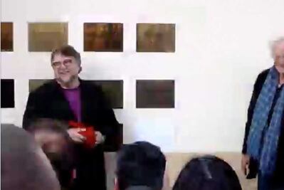 El palomazo de Del Toro en Francia