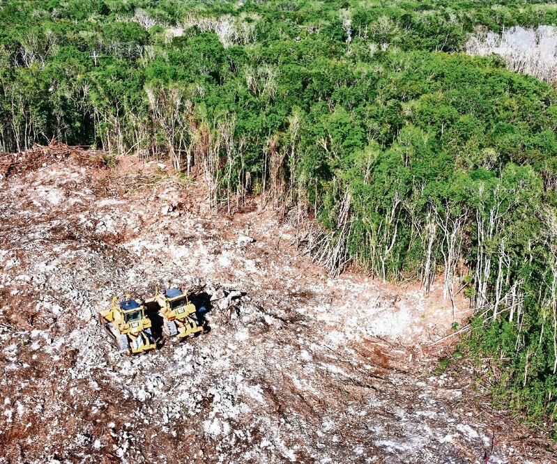 Los quejosos señalan que Semarnat avaló la Manifestación de Impacto Ambiental sin que se acreditara el grado de afectación de los daños ambientales. Foto: Archivo EL UNIVERSAL 