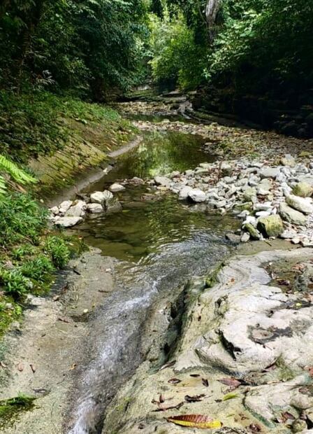 Zozocolco de Hidalgo: los mejores atractivos del Pueblo Mágico