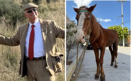 Salinas Pliego celebra retiro de "Pancho", caballo carretonero; "uno debe de dar la cara por los seres vivos"