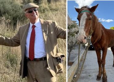 Salinas Pliego celebra retiro de "Pancho", caballo carretonero; "uno debe de dar la cara por los seres vivos"