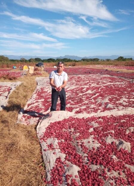 Esto es lo que pasa si tomas agua de jamaica tres veces al día