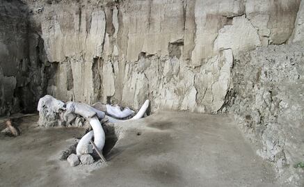 Mamuts americanos migraron al norte en respuesta al calentamiento global