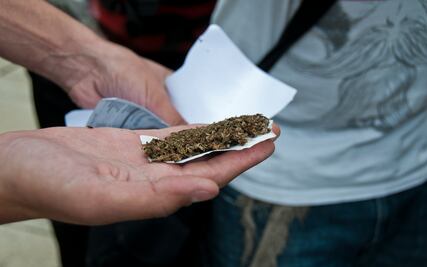 Mondragón da visto bueno a algunos componentes de la marihuana