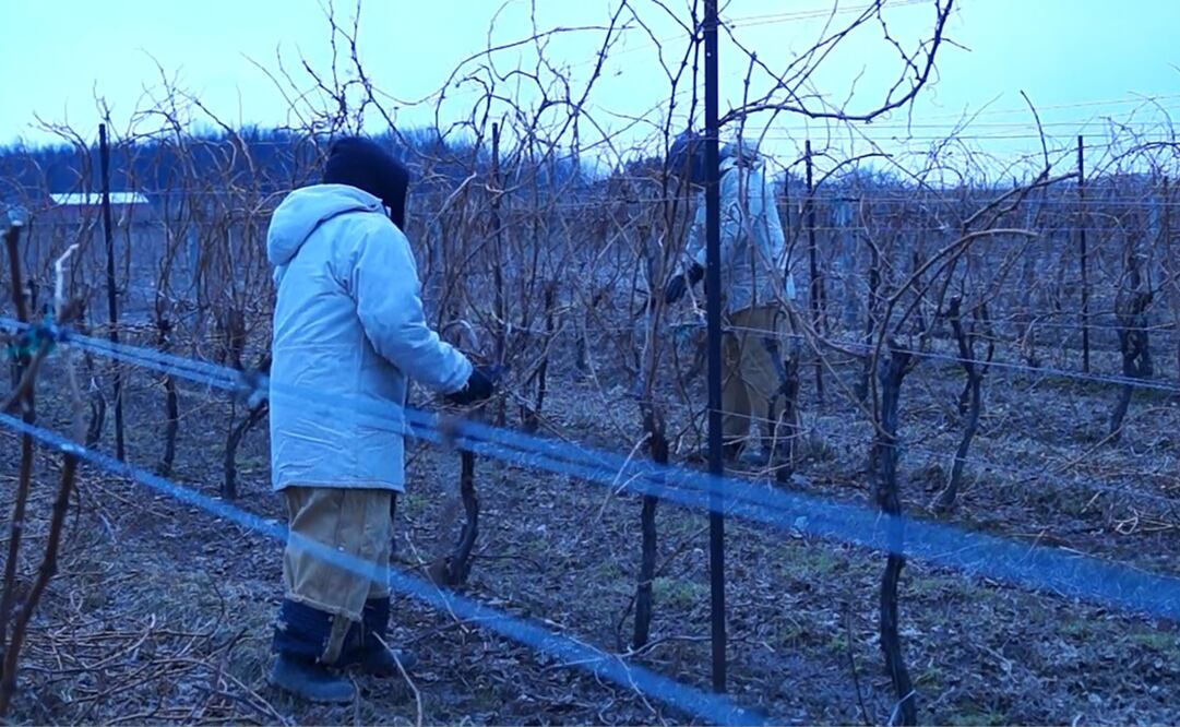 Foto: Archivo. EL UNIVERSAL