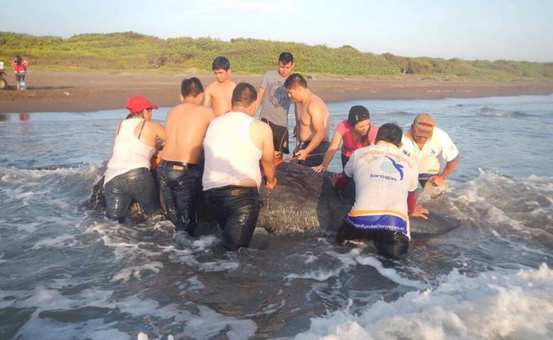 Foto: Fundación Yepez AC