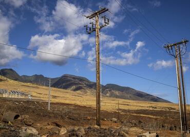 Hawái: Cables eléctricos pelados y postes inclinados en Maui, posibles causas de los incendios