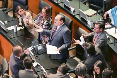 Rechazan otra vez perfiles para CRE; toca a AMLO nombrarlos