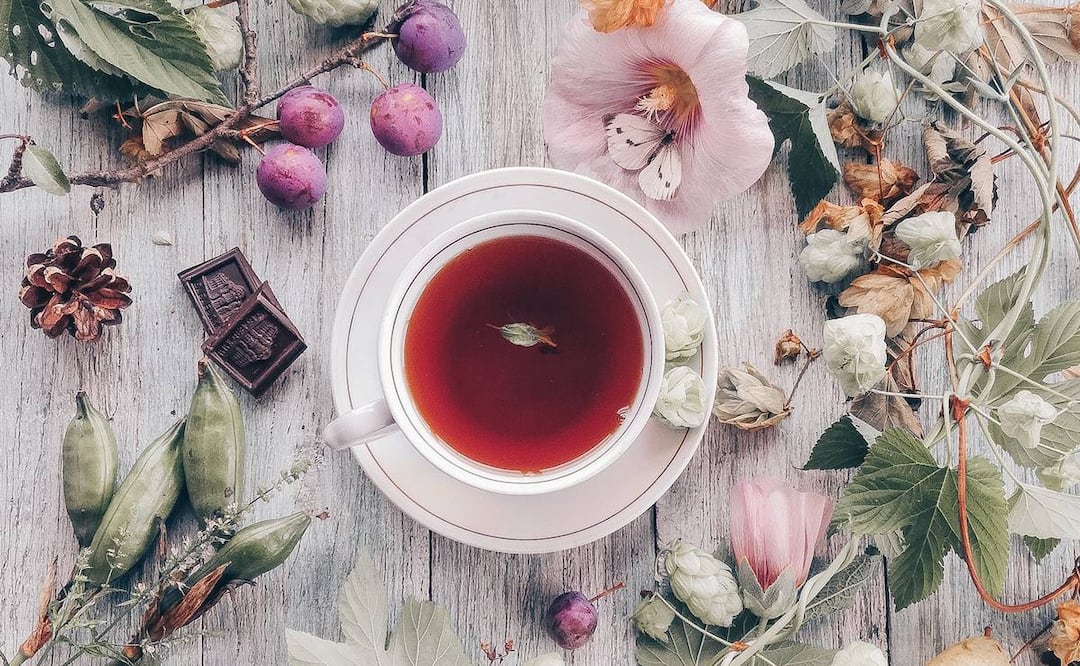 Infusión de rosas de castilla
Foto: Lidiya Pavlikova / Unsplash