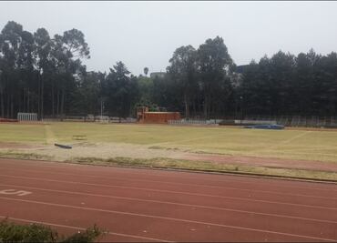 En el Comité Olímpico Mexicano nadie entrena al aire libre