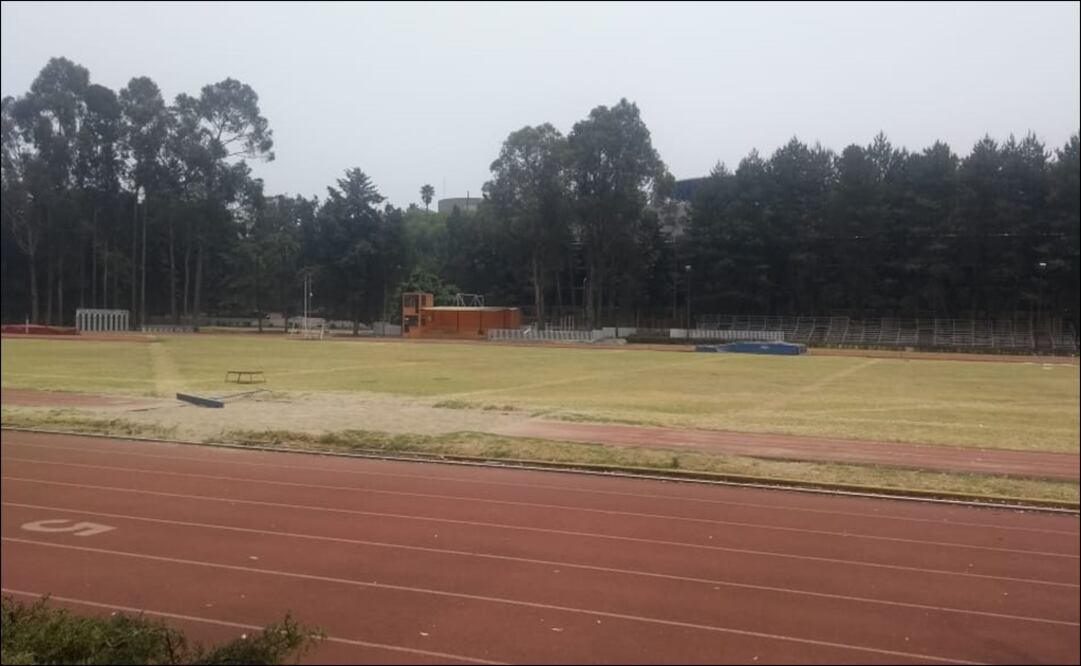 En el Comité Olímpico Mexicano la orden es clara. Foto: Especial