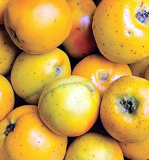 Frutas que debes comer en diciembre