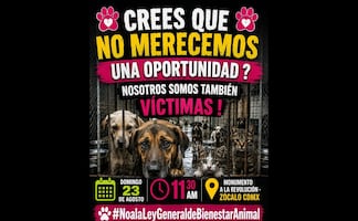 Convocan a marcha nacional en defensa de los animales; la cita es el próximo 23 de agosto en el Monumento a la Revolución 