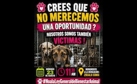 Convocan a marcha nacional en defensa de los animales; la cita es el próximo 23 de agosto en el Monumento a la Revolución