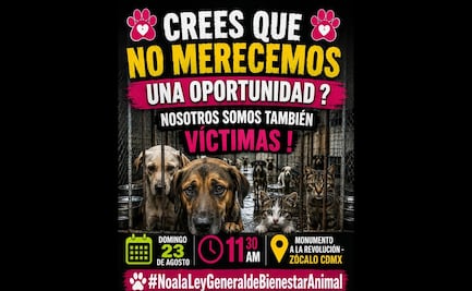 Convocan a marcha nacional en defensa de los animales; la cita es el próximo 23 de agosto en el Monumento a la Revolución