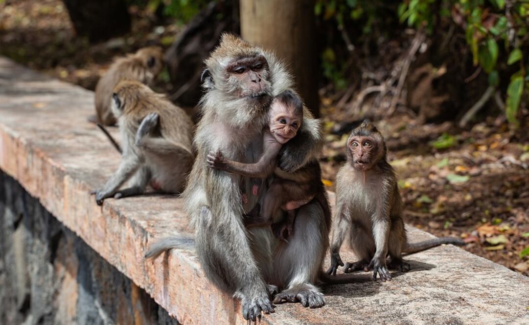 Foto: Ilustrativa. Pixabay 