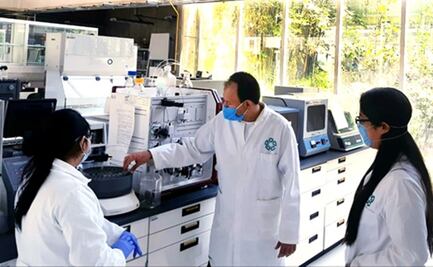 Estudian a nivel atómico la replicación del genoma del SARS-CoV-2