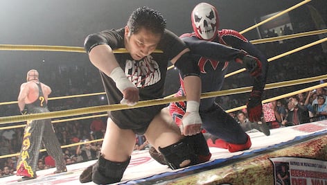 La muerte del Perro Aguayo Jr. no cambió nada