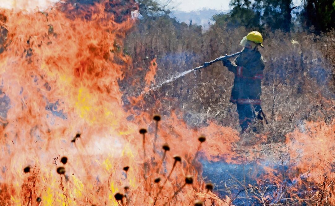 In Campeche, the fire that began on Monday night at the Los Petenes Reserve led to the destruction of some 618 acres of vegetation - Photo: File photo/EL UNIVERSAL