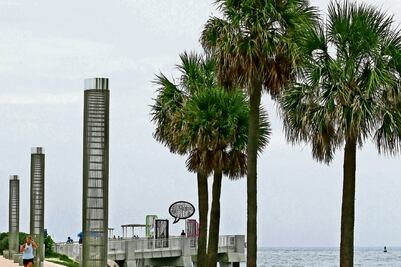 Zika causa anomalías cerebrales, dice la OMS