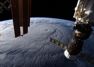 Ratones en la EEI demostrarían que la reproducción humana en el espacio es posible