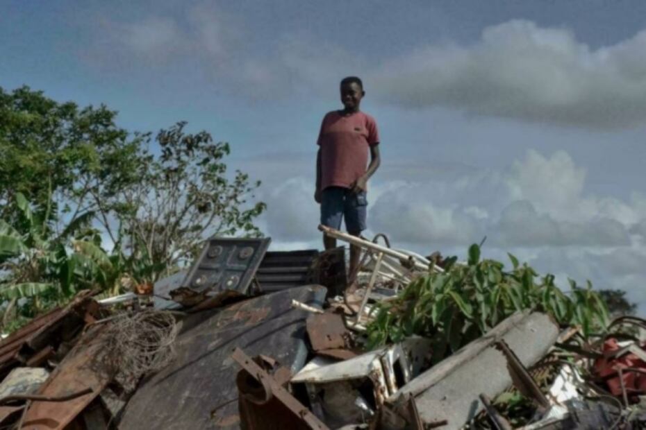 Conmueve foto de niño brasileño que encontró un árbol de Navidad en la basura
