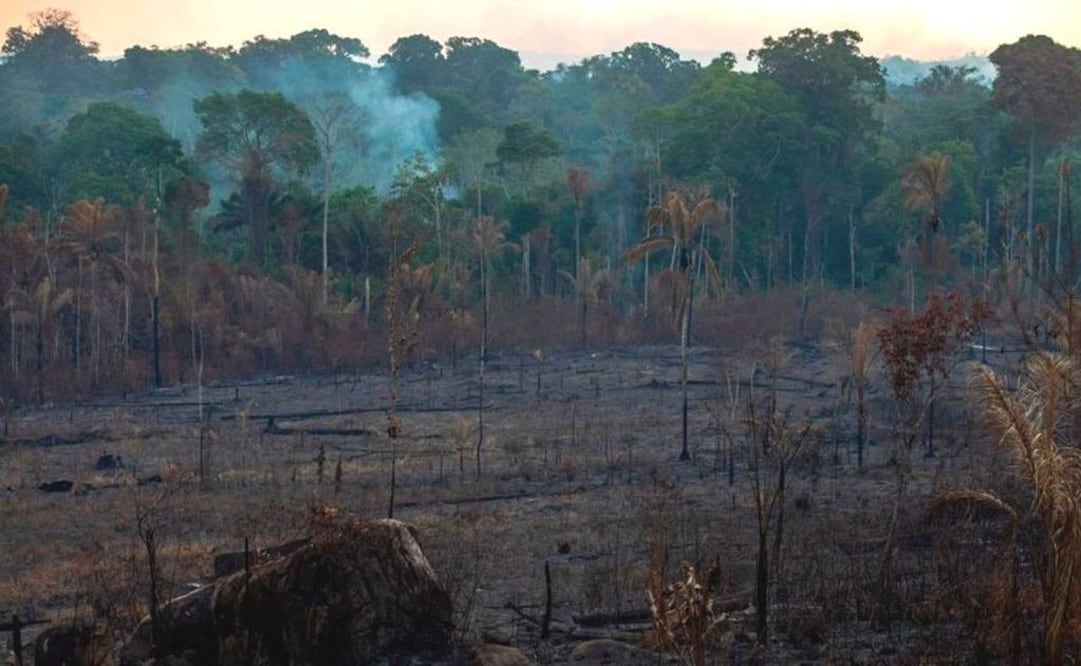 Los líderes del G7 acordaron el lunes entregar apoyo económico y logístico a los países afectados que están luchando apagar los incendios en la Amazonia (Foto: Getty Images)
