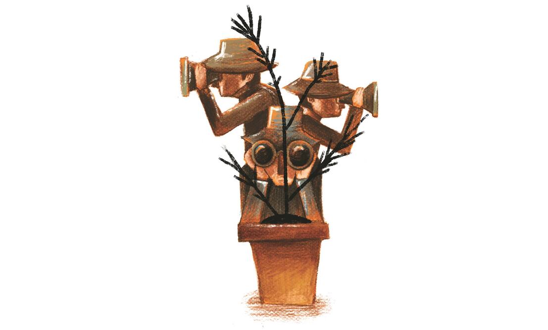 Ilustración: ROSARIO LUCAS