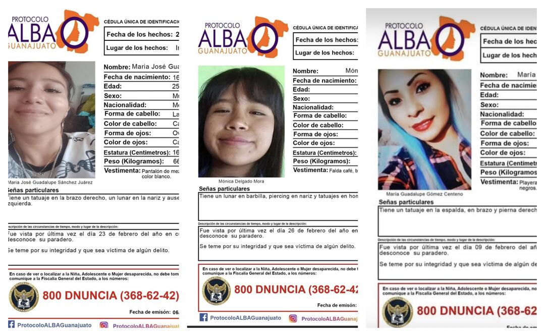 Fiscalía de Guanajuato activa el Protocolo Alba y la Alerta Amber para buscar a nueve mujeres desaparecidas; se teme por su integridad. Foto: Especial