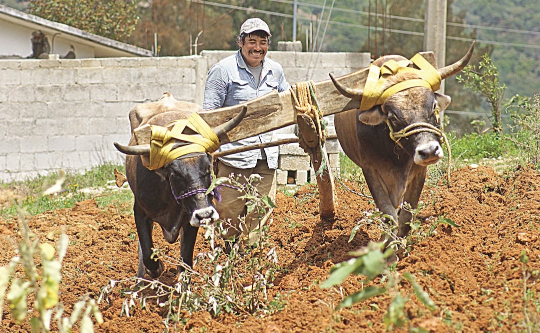 Epifanio López Hernández, tío del migrante José Luis, narra que él también emigró para mantener a su familia, porque en el pueblo sólo se sobrevive del campo. Foto: Edwin Hernández/ EL UNIVERSAL