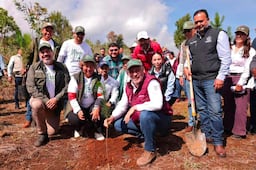 Sembrarán 2.5 millones de árboles en la cuenca del Lago de Pátzcuaro; buscan rescatar y proteger el cuerpo de agua