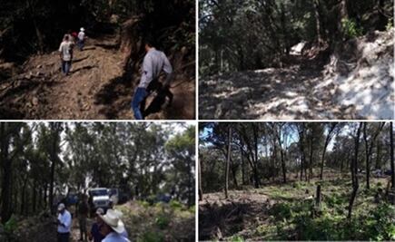 Constatan cambio ilegal de uso de suelo en área natural protegida de Nayarit